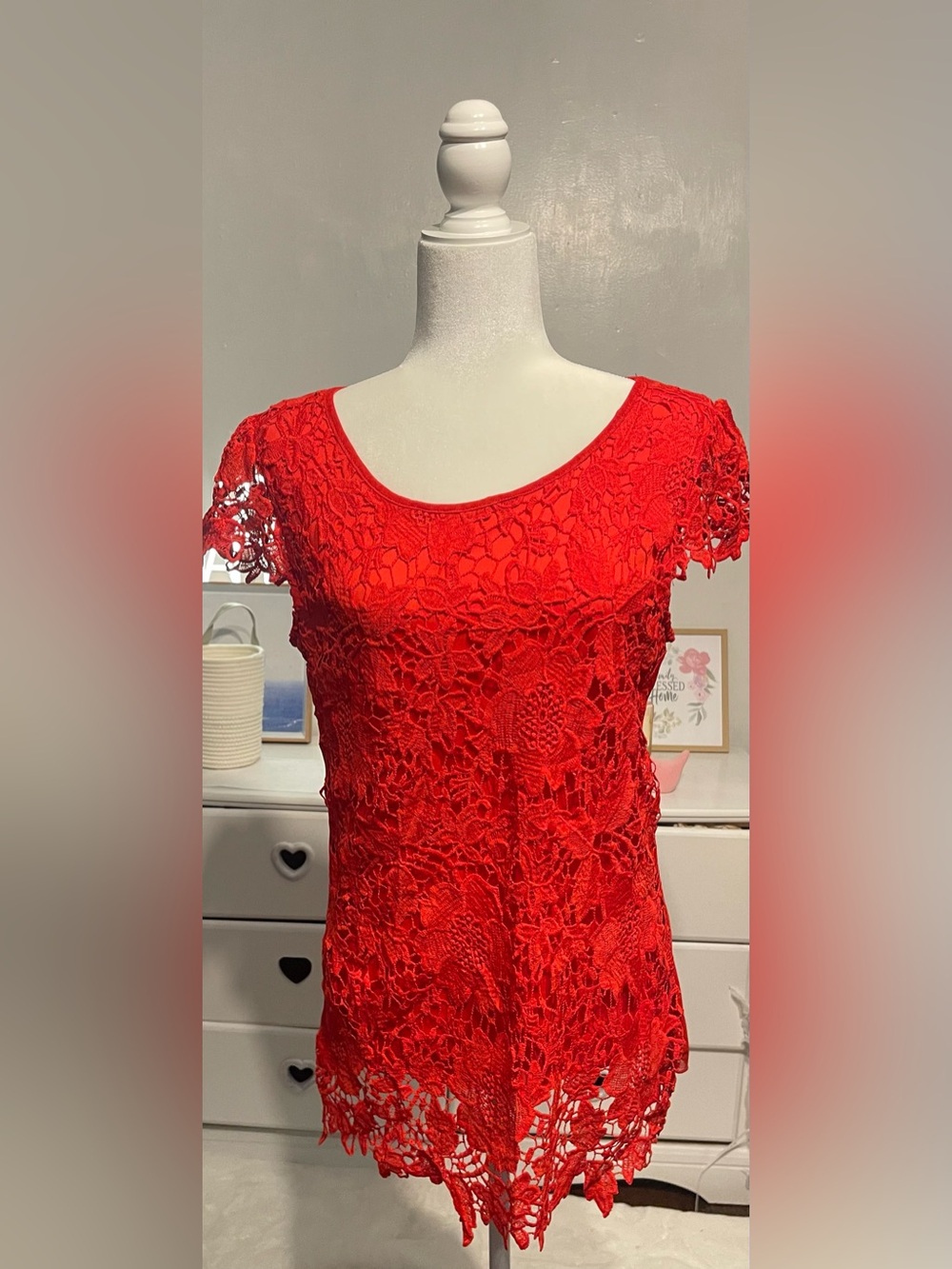 Simply Irresistible Red Lace Short Sleeve Scoop Neck Top size M 100% cotton - Picture 9 of 12